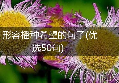 形容播种希望的句子(优选50句)