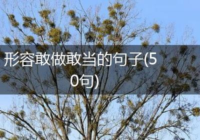 形容敢做敢当的句子(50句)