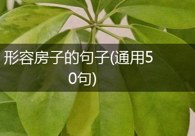 形容房子的句子(通用50句)