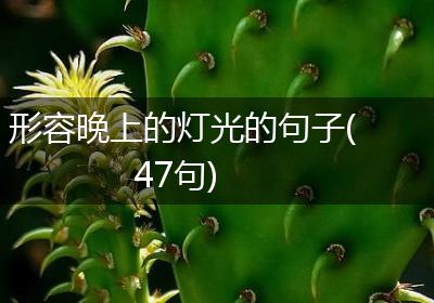 形容晚上的灯光的句子(47句)