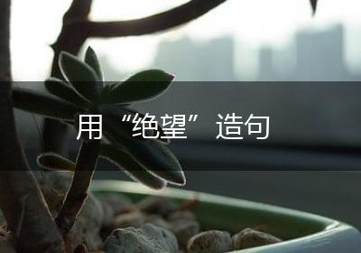 用“绝望”造句