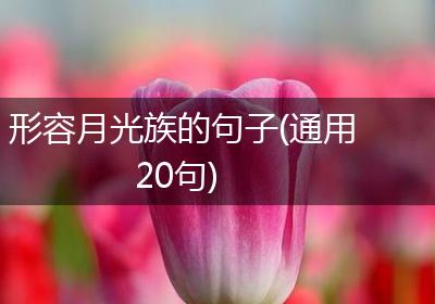 形容月光族的句子(通用20句)