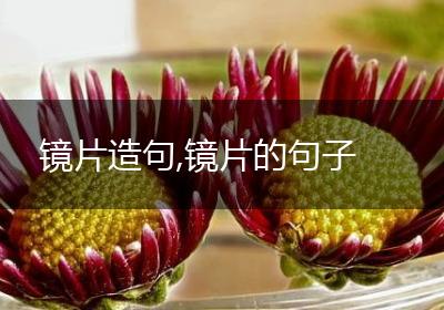 镜片造句,镜片的句子