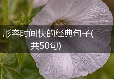 形容时间快的经典句子(共50句)
