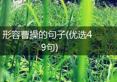 形容曹操的句子(优选49句)