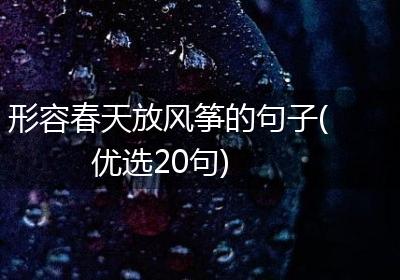 形容春天放风筝的句子(优选20句)