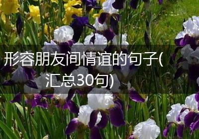 形容朋友间情谊的句子(汇总30句)