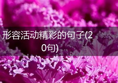 形容活动精彩的句子(20句)