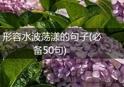 形容水波荡漾的句子(必备50句)