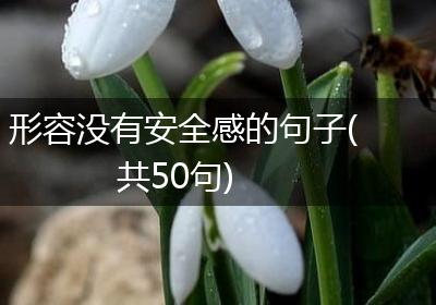 形容没有安全感的句子(共50句)
