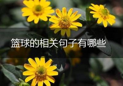 篮球的相关句子有哪些