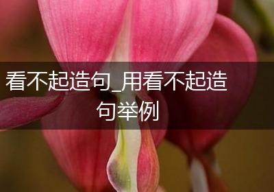 看不起造句_用看不起造句举例