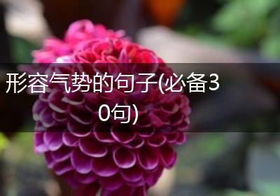 形容气势的句子(必备30句)