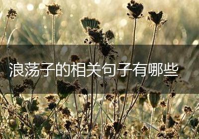 浪荡子的相关句子有哪些