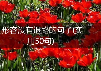 形容没有退路的句子(实用50句)