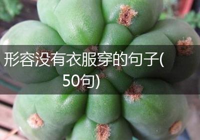 形容没有衣服穿的句子(50句)