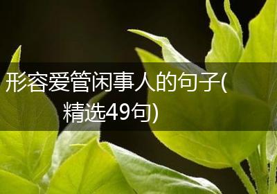 形容爱管闲事人的句子(精选49句)