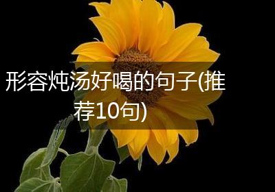 形容炖汤好喝的句子(推荐10句)