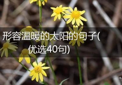 形容温暖的太阳的句子(优选40句)
