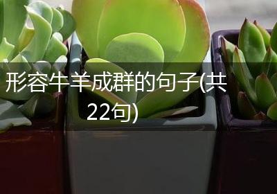 形容牛羊成群的句子(共22句)