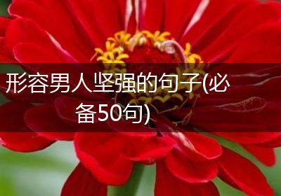 形容男人坚强的句子(必备50句)