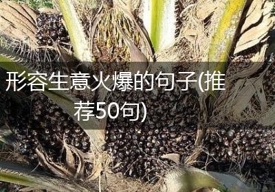 形容生意火爆的句子(推荐50句)