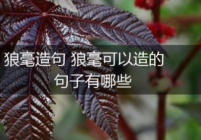 狼毫造句 狼毫可以造的句子有哪些