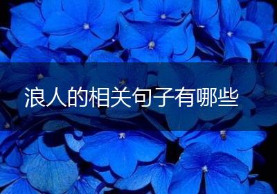 浪人的相关句子有哪些