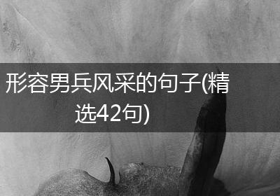 形容男兵风采的句子(精选42句)