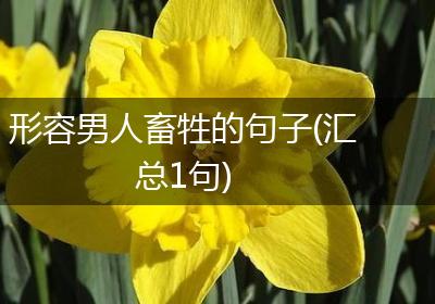 形容男人畜牲的句子(汇总1句)