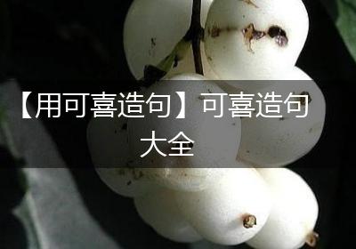 【用可喜造句】可喜造句大全