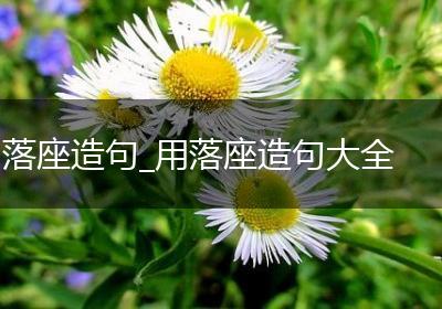 落座造句_用落座造句大全