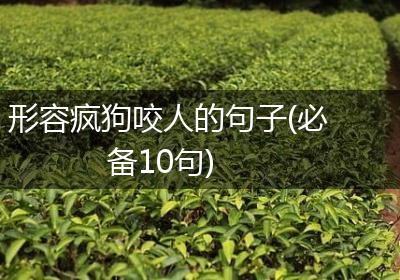 形容疯狗咬人的句子(必备10句)