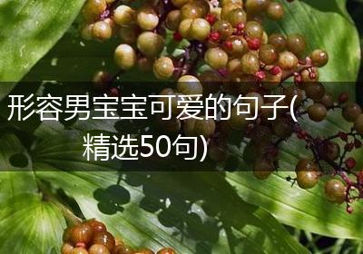 形容男宝宝可爱的句子(精选50句)