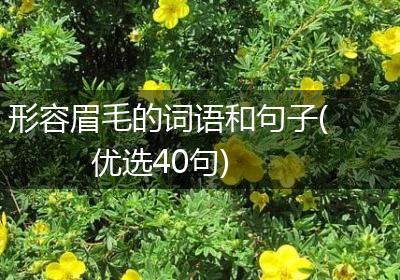 形容眉毛的词语和句子(优选40句)