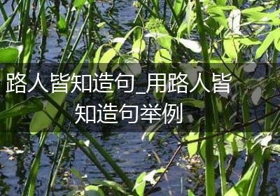 路人皆知造句_用路人皆知造句举例