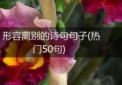 形容离别的诗句句子(热门50句)