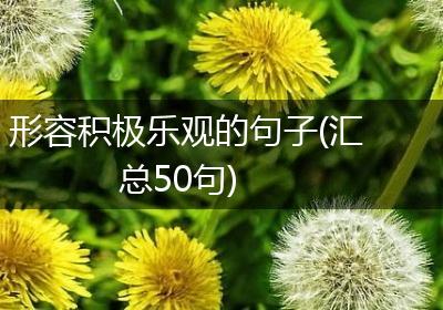形容积极乐观的句子(汇总50句)