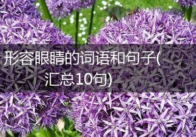形容眼睛的词语和句子(汇总10句)