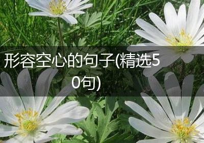 形容空心的句子(精选50句)