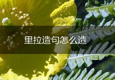 里拉造句怎么造