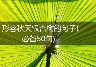 形容秋天银杏树的句子(必备50句)