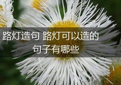 路灯造句 路灯可以造的句子有哪些