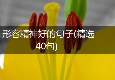 形容精神好的句子(精选40句)