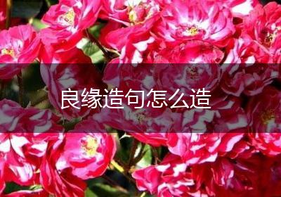 良缘造句怎么造