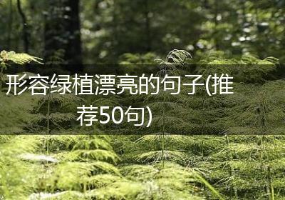 形容绿植漂亮的句子(推荐50句)