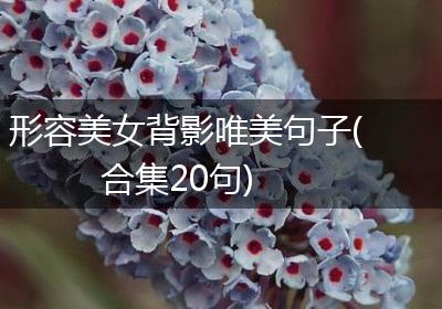 形容美女背影唯美句子(合集20句)