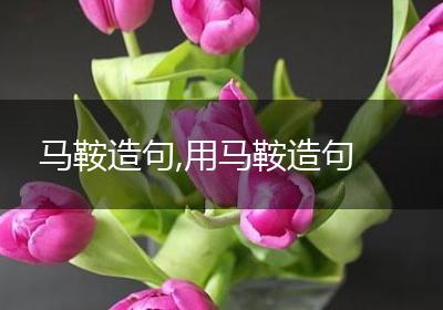 马鞍造句,用马鞍造句