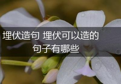 埋伏造句 埋伏可以造的句子有哪些