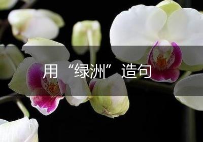 用“绿洲”造句